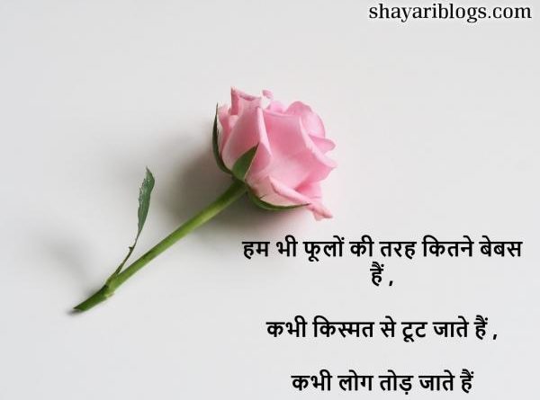 Hindi Shayari on Broken Heart