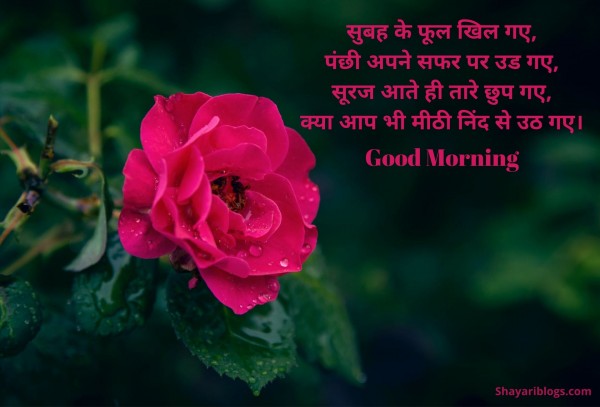 good morning shayari in hindi image