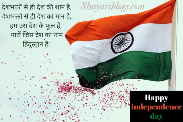 Azadi Special Shayari सरफरश क तमनन अब हमर दल म ह पढ रग  म दशभकत भरन वल य शर Independence Day Special Shayari Hindi and  Urdu Azadi Special Shayari  News18 हद